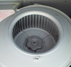 クリーニング後